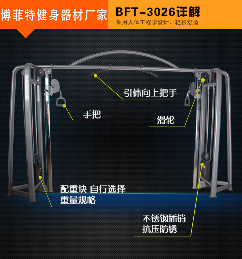 大飛鳥(niǎo)健身器材