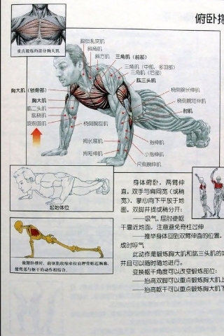 健身計(jì)劃方案